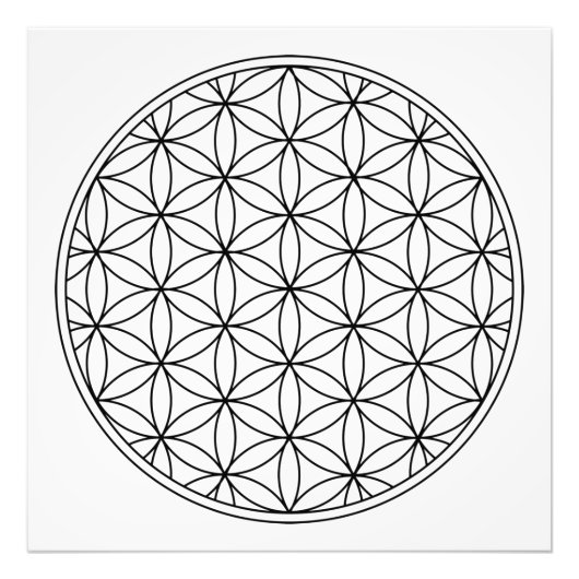 symbool van de bloem van het leven heilige geometr foto afdruk (Voorkant)