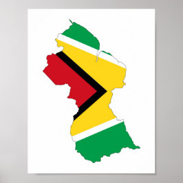 symbool van de vlag van guyana land poster