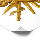 Symbool van Louis XIV de Sun King Foto Afdruk (Hoek)