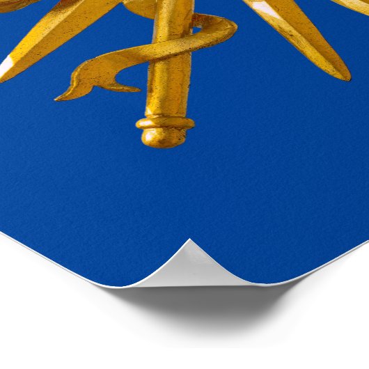 Symbool van Louis XIV de Sun King Poster (Hoek)