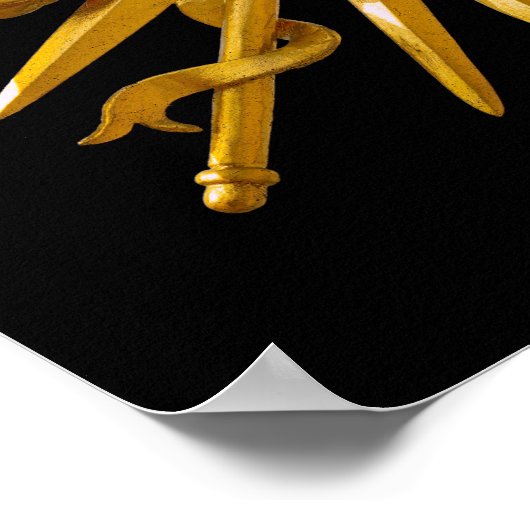 Symbool van Louis XIV de Sun King Poster (Hoek)