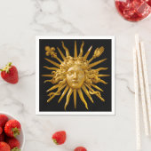 Symbool van Louis XIV de Sun King Servet (Insitu)