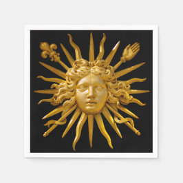 Symbool van Louis XIV de Sun King Servet