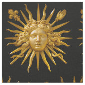 Symbool van Louis XIV de Sun King Stof (Close Up)