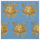 Symbool van Louis XIV de Sun King Stof (Swatch)