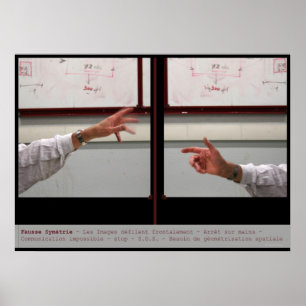 Symetrie-Poster vervormen Poster