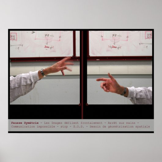 Symetrie-Poster vervormen Poster (Voorkant)