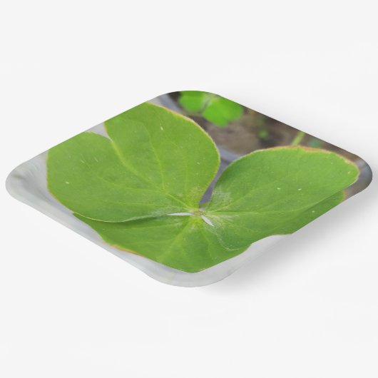 Symfonie van bladeren: 9-inch vierkant papier Bord (Gebogen)