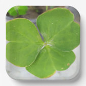 Symfonie van bladeren: 9-inch vierkant papier Bord (Voorkant)