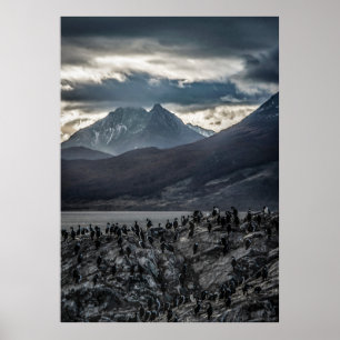 Symfonie van de natuur: een portret van de wilde w poster