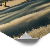 Symfonie van primaten poster (Hoek)