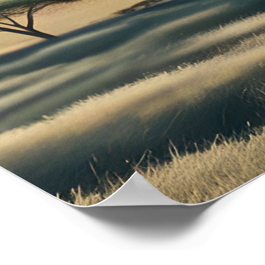 Symfonie van primaten poster (Hoek)