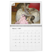Syminou kalender 2018 Savannah Cat (Feb 2027)