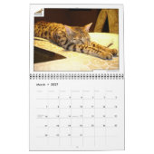 Syminou kalender 2018 Savannah Cat (Mar 2027)