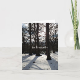 Sympathiakaart winterbomen in zonlicht en schaduw feestdagen kaart