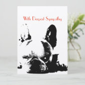 sympathie (Staand voorkant)