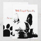 sympathie (Voorkant / Achterkant)