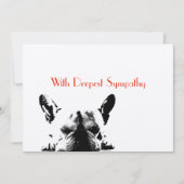 sympathie (Voorkant)