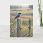 Sympathie Bluebird op hek post Kaart (Voorkant)