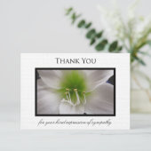 Sympathie Dank u Flat Kaart - Amaryllis (Staand voorkant)