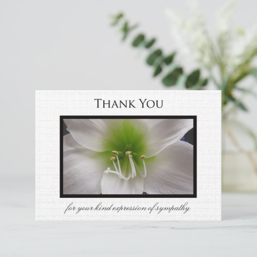 Sympathie Dank u Flat Kaart - Amaryllis (Staand voorkant)