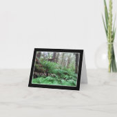 Sympathie Dank u nota Kaart — bos (Voorkant)