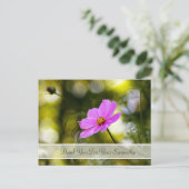 Sympathie Dank u voor de avond van de roze kosmos  Briefkaart (Staand voorkant)