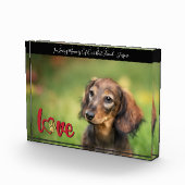 Sympathie dankzij hartstilstand fotoblokken (Rechts)