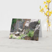 Sympathie: De zwarte Boom van de Canion Kaart (Gele Bloem)