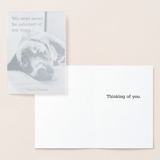 Sympathie Dog Folie Kaarten (Display)