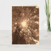 sympathie en hoop kaart (Voorkant)