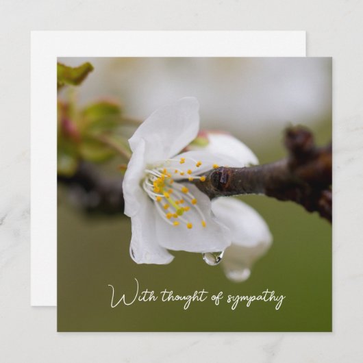 Sympathie Flat Kaart (Voorkant / Achterkant)
