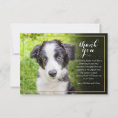 Sympathie Foto Script voor huisdier verlies Bedankkaart (Voorkant)