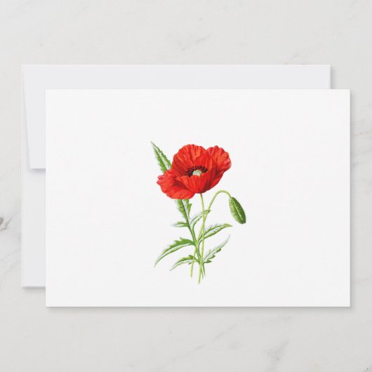 Sympathie Funeral Dank je Kaart | Poppie (Achterkant)