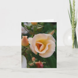 Sympathie Hartelijk dank voor uw familie Bedankkaart