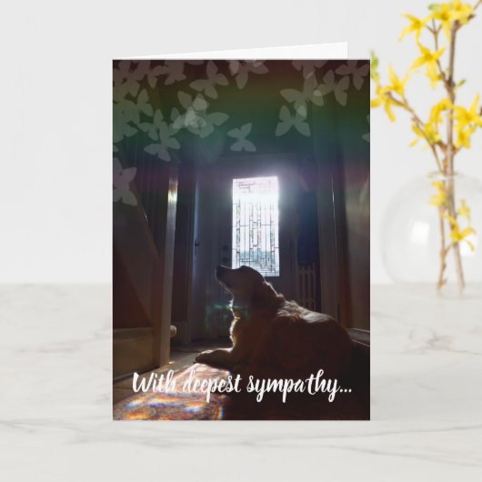 Sympathie, hondenverlies, huisdierenverlies, regen kaart (Gele Bloem)