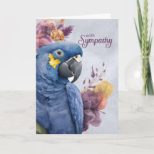 Sympathie Hyacinne Macaw Paars Botanisch