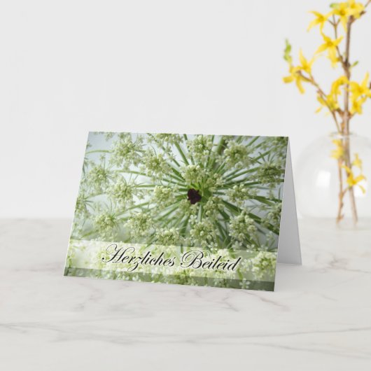 Sympathie in het Duits, koningin Anne's kant, bloe Kaart (Gele Bloem)