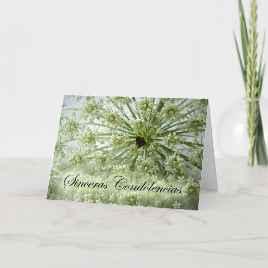 Sympathie in het Spaans, Queen Anne's Lace, Bloeme Kaart (Voorkant)