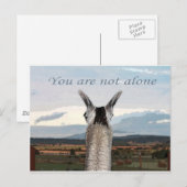 Sympathie: Je bent niet de enige lama Briefkaart (Voorkant / Achterkant)