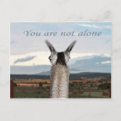 Sympathie: Je bent niet de enige lama Briefkaart (Voorkant)