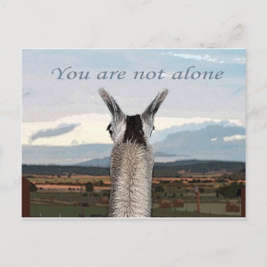 Sympathie: Je bent niet de enige lama Briefkaart (Voorkant)