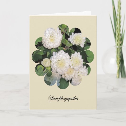 Sympathie kaart met witte chrysant bloemen. (Voorkant)