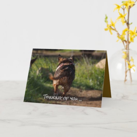 Sympathie kaart - pet (Gele Bloem)