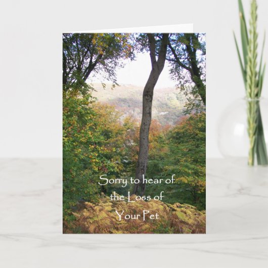Sympathie kaart, verlies van huisdier kaart (Voorkant)