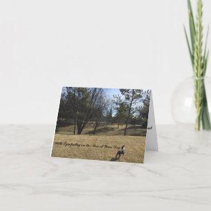 Sympathie kaart voor hond huisdier Boston Terrier