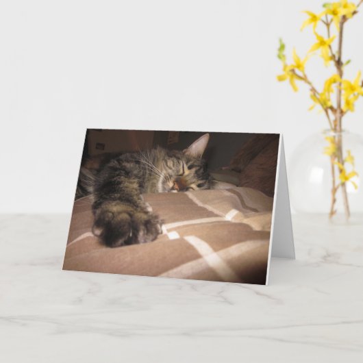 Sympathie - Kat Kaart (Gele Bloem)