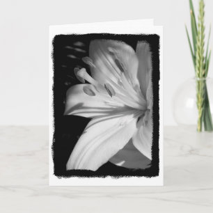 Sympathie Lily Card Kaart