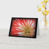 Sympathie Macro Foto van Fuji Mum Flower Kaart (Gele Bloem)