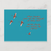 Sympathie-mag je troost Trupeter zwanen vinden Briefkaart (Voorkant)